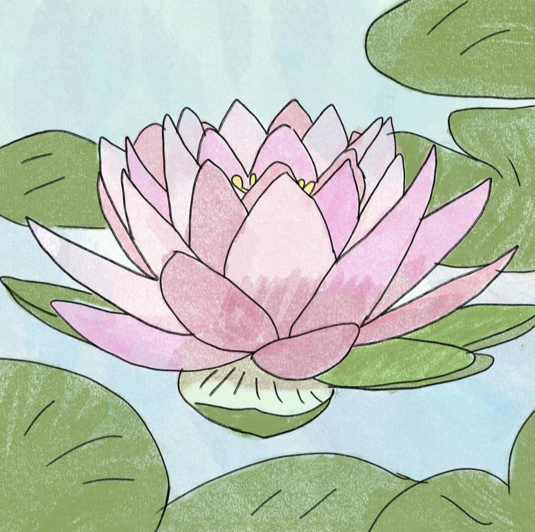 Botany Digital Chalk Lotus